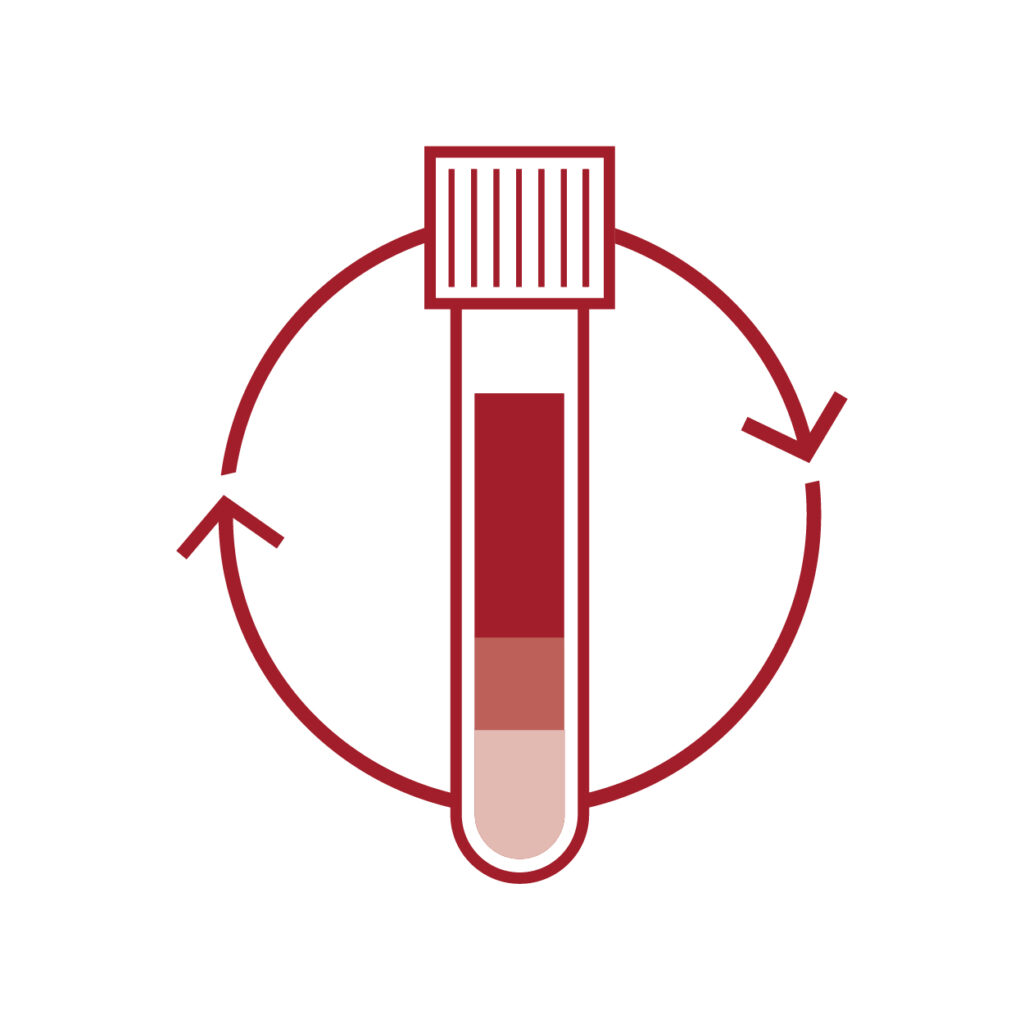 Icons OrthoPraxis 05 w